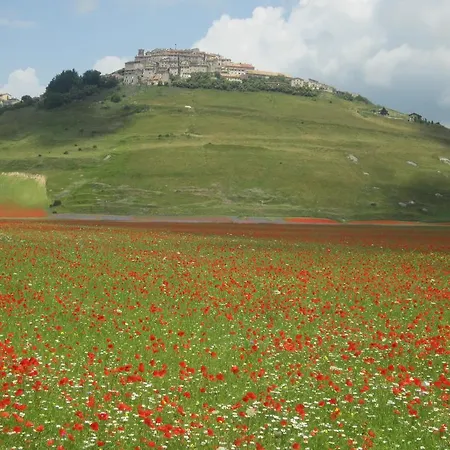 Casale Coccinella * Preci