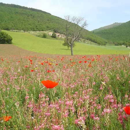 Vakantiehuis Casale Coccinella Preci