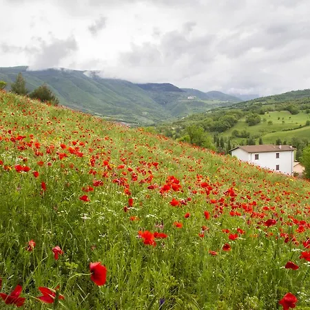 Casale Coccinella *