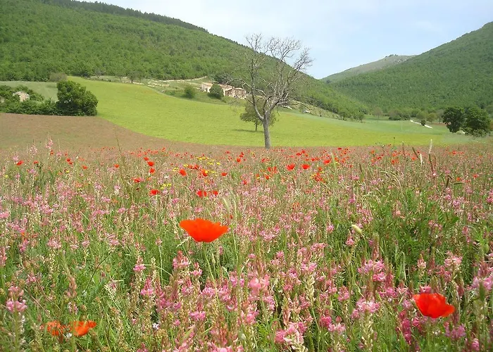Prázdninový dům Casale Coccinella Preci
