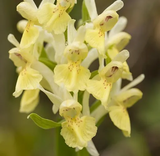 Casale Coccinella Prázdninový dům